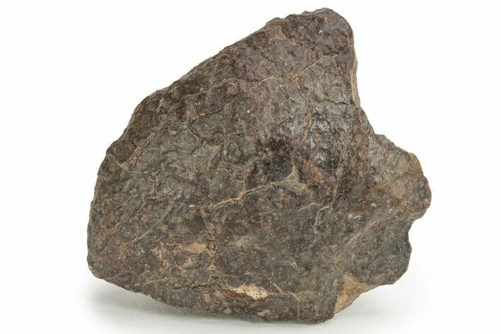 Chondrite Meteorite ( g) - Western Sahara Desert #232933